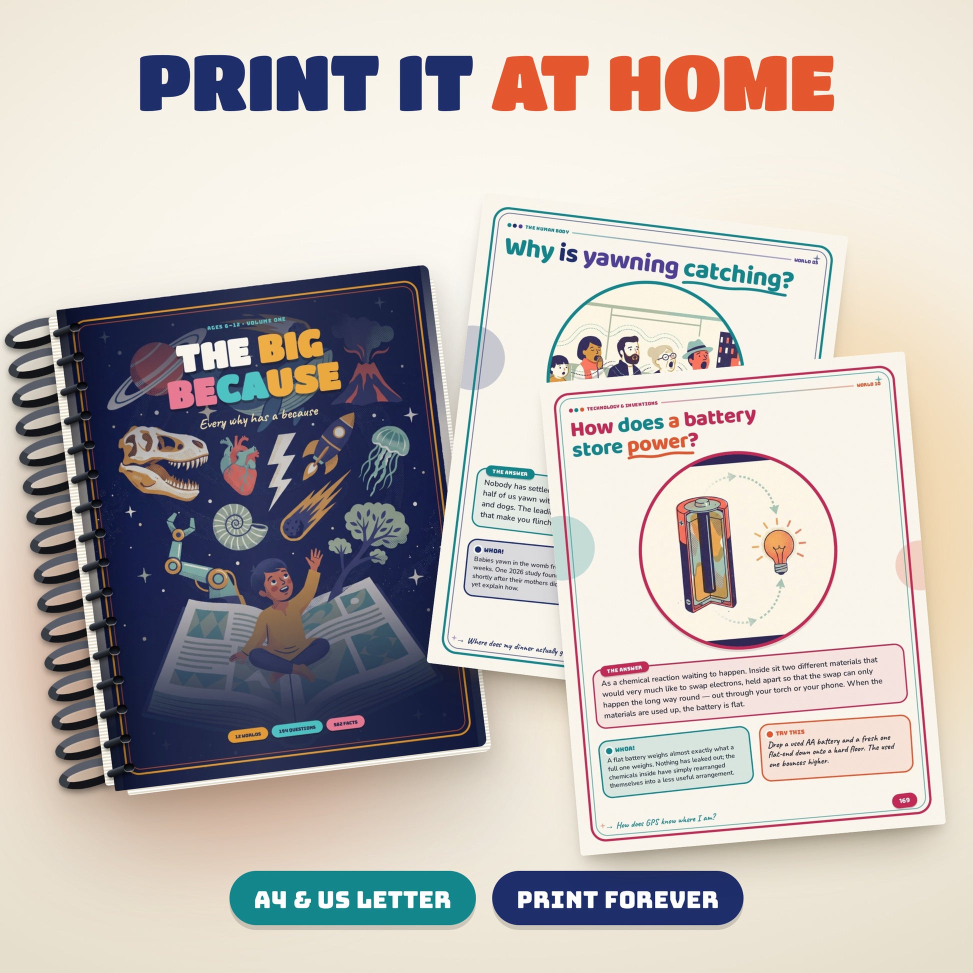 05: The Big Because printed at home with loose printable pages