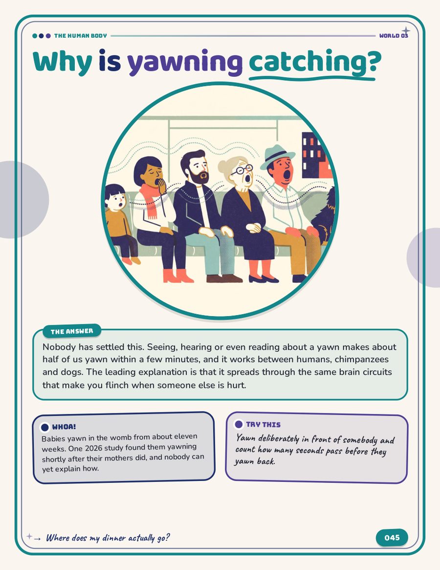 Illustrated page from The Big Because